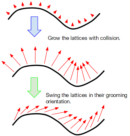 _images/user_guide_n-lattice_grow_swing.png